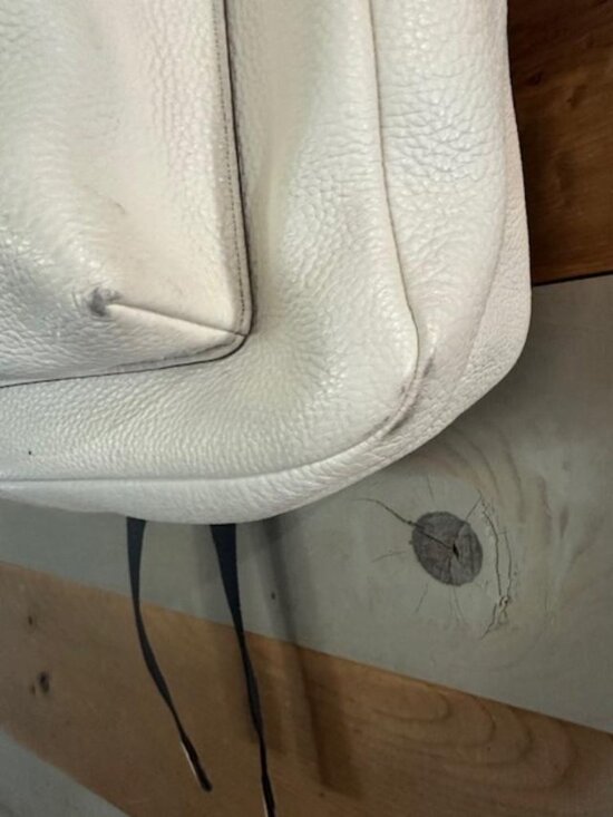 COACH CHARLIE BACKPACK CHALK - Picture 10 of 10